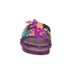 Irregular Choice Get Up And Gecko Everything